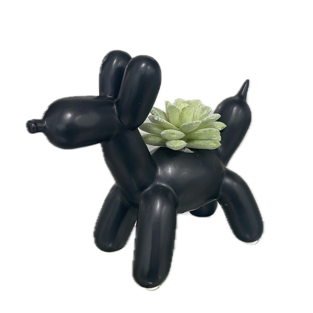 Figure dog in the form of balloon’s with succulent